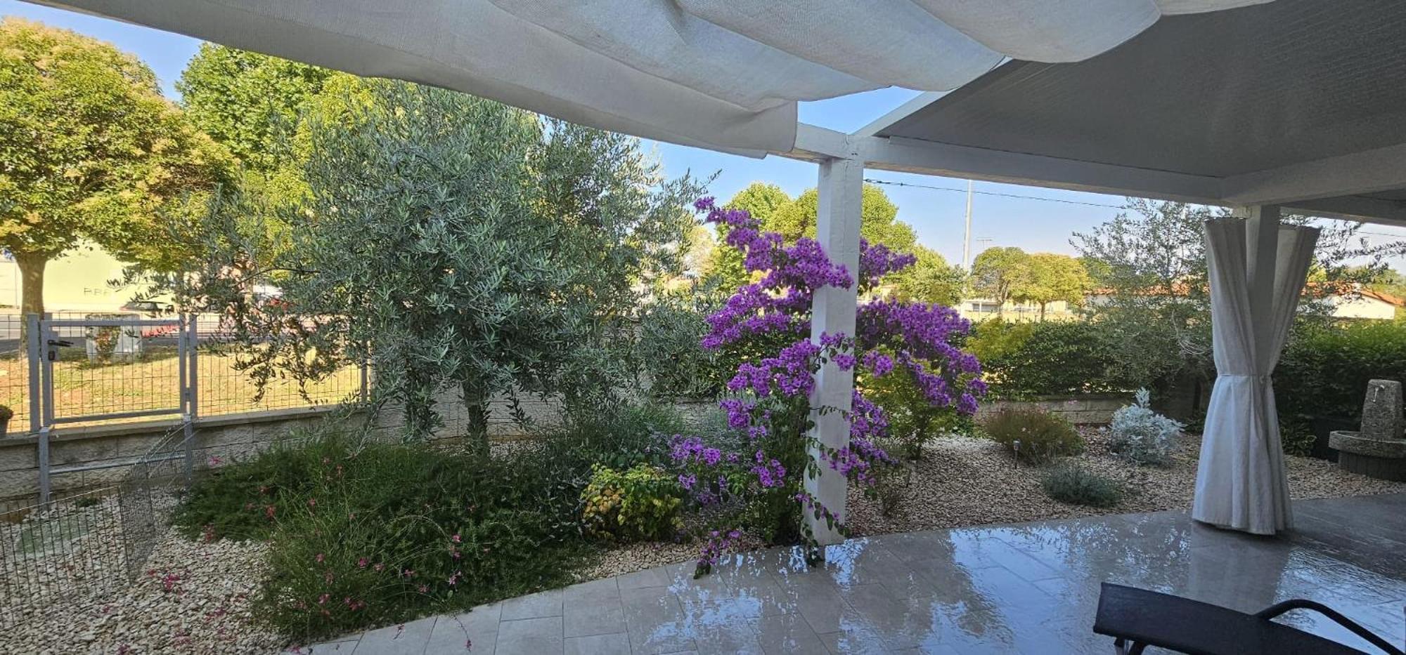Apartman Magnolija Umag Exterior foto